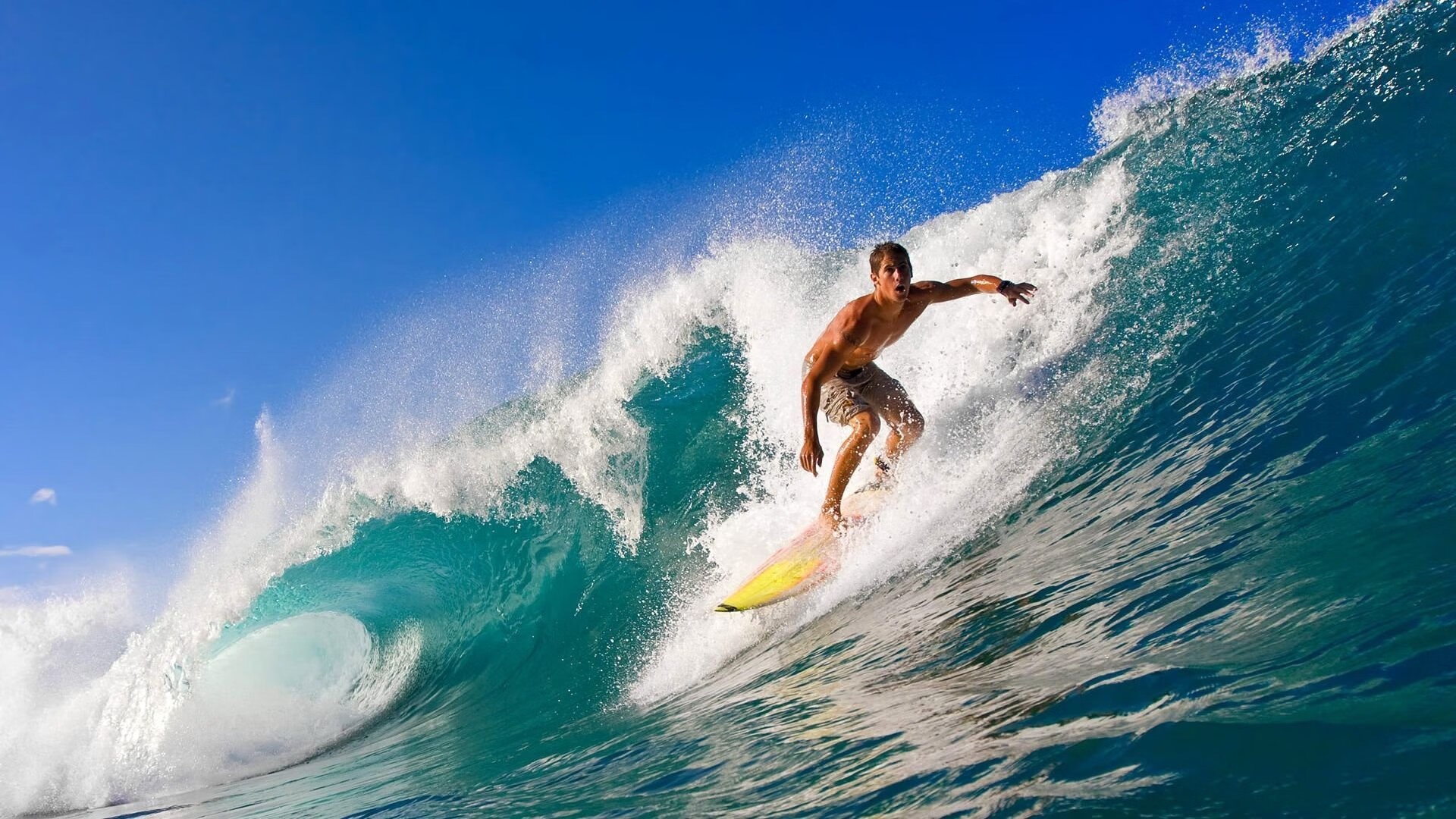 “闯关高手”——车队应对突发事件的智慧反应